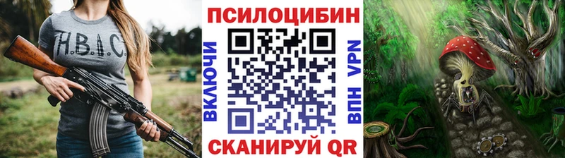 наркотики  Бобров  Псилоцибиновые грибы Psilocybine cubensis 